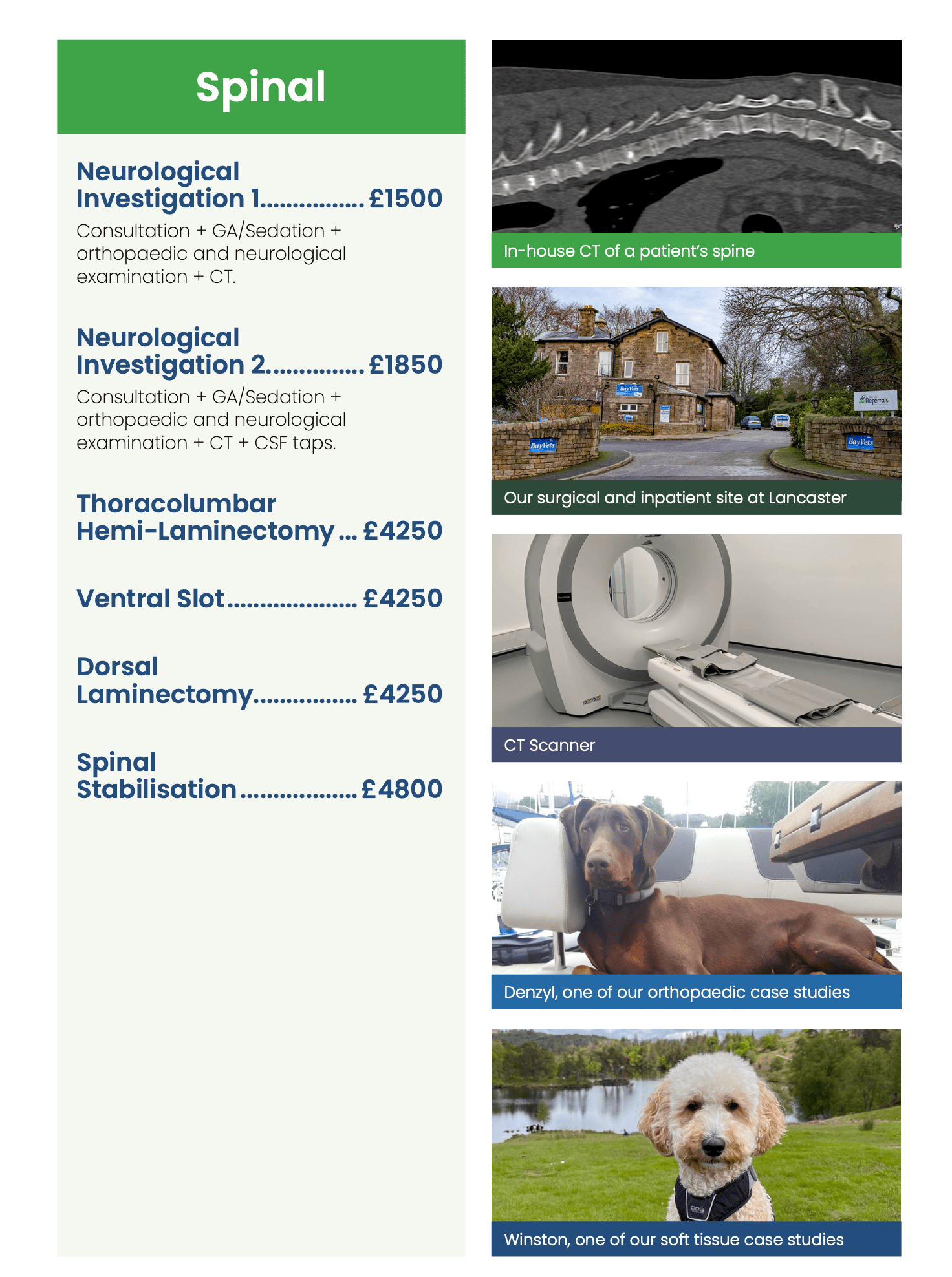 screenshot spinal prices